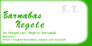 barnabas negele business card